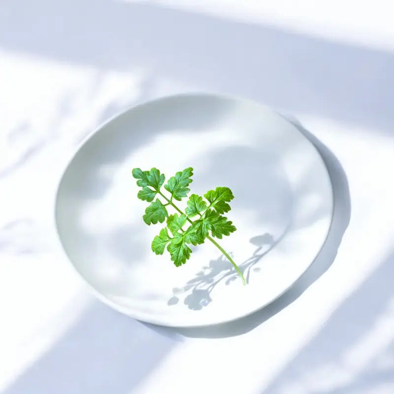 Micropousses de Micropousses de Cerfeuil — Casa Verde Microfarm