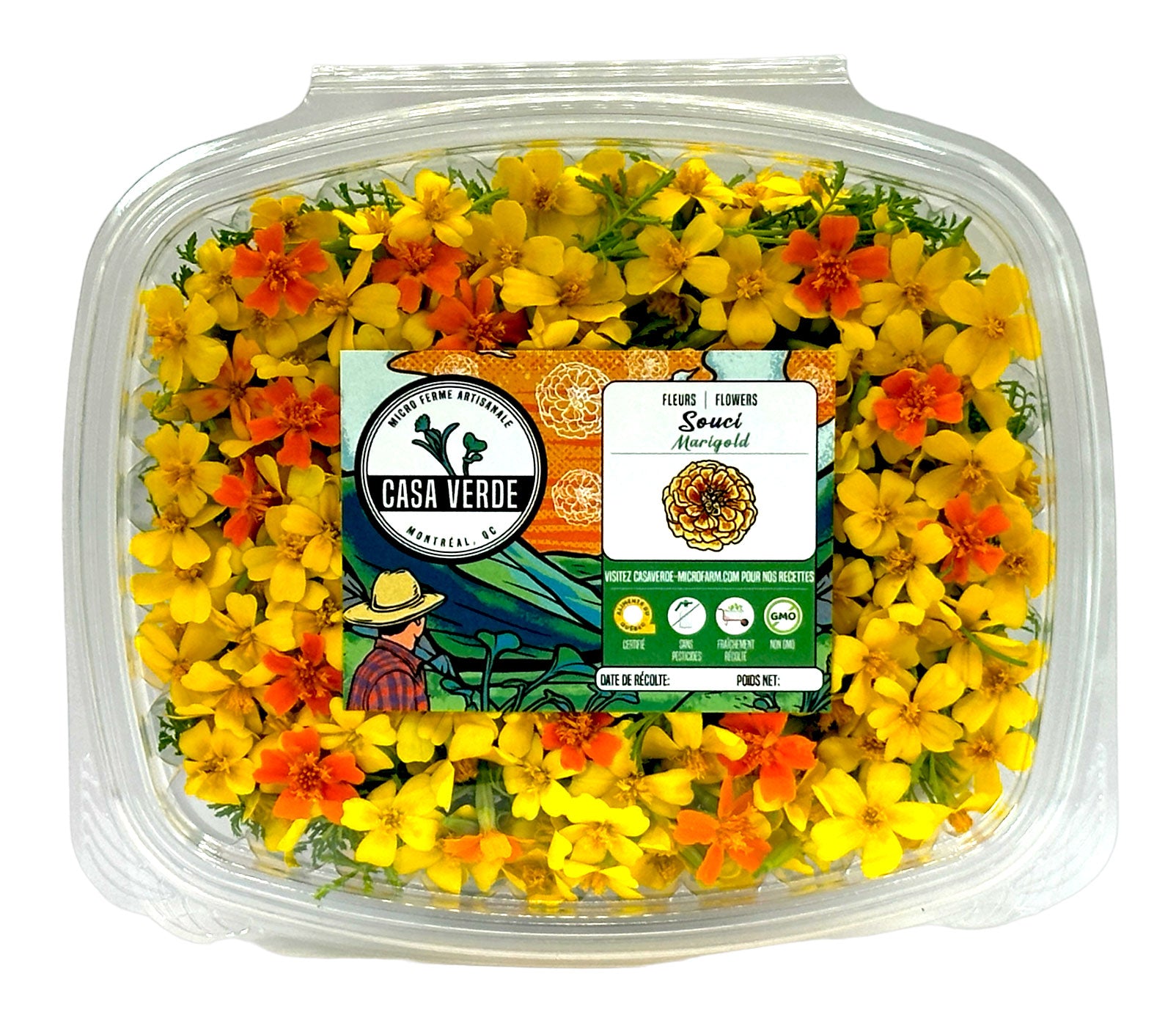 Micropousses de Fleurs comestibles de souci citronné — Casa Verde Microfarm