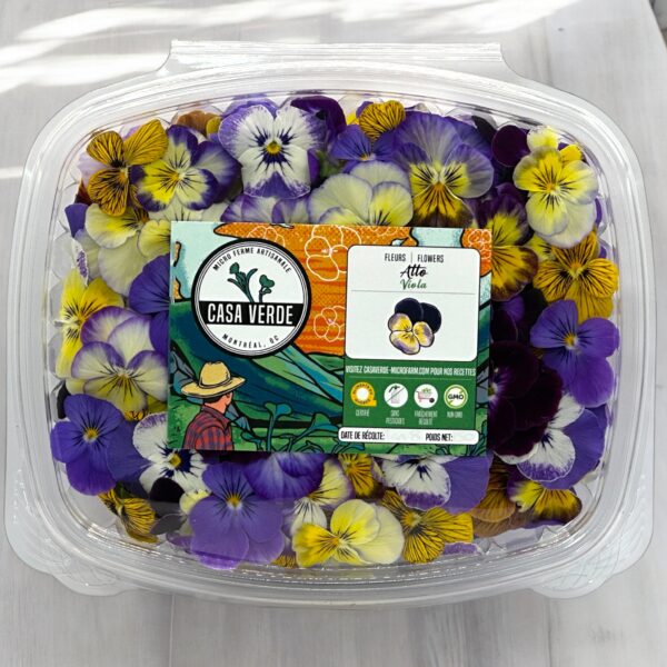 Fleurs comestibles viola pansy dans un contenant Casa Verde